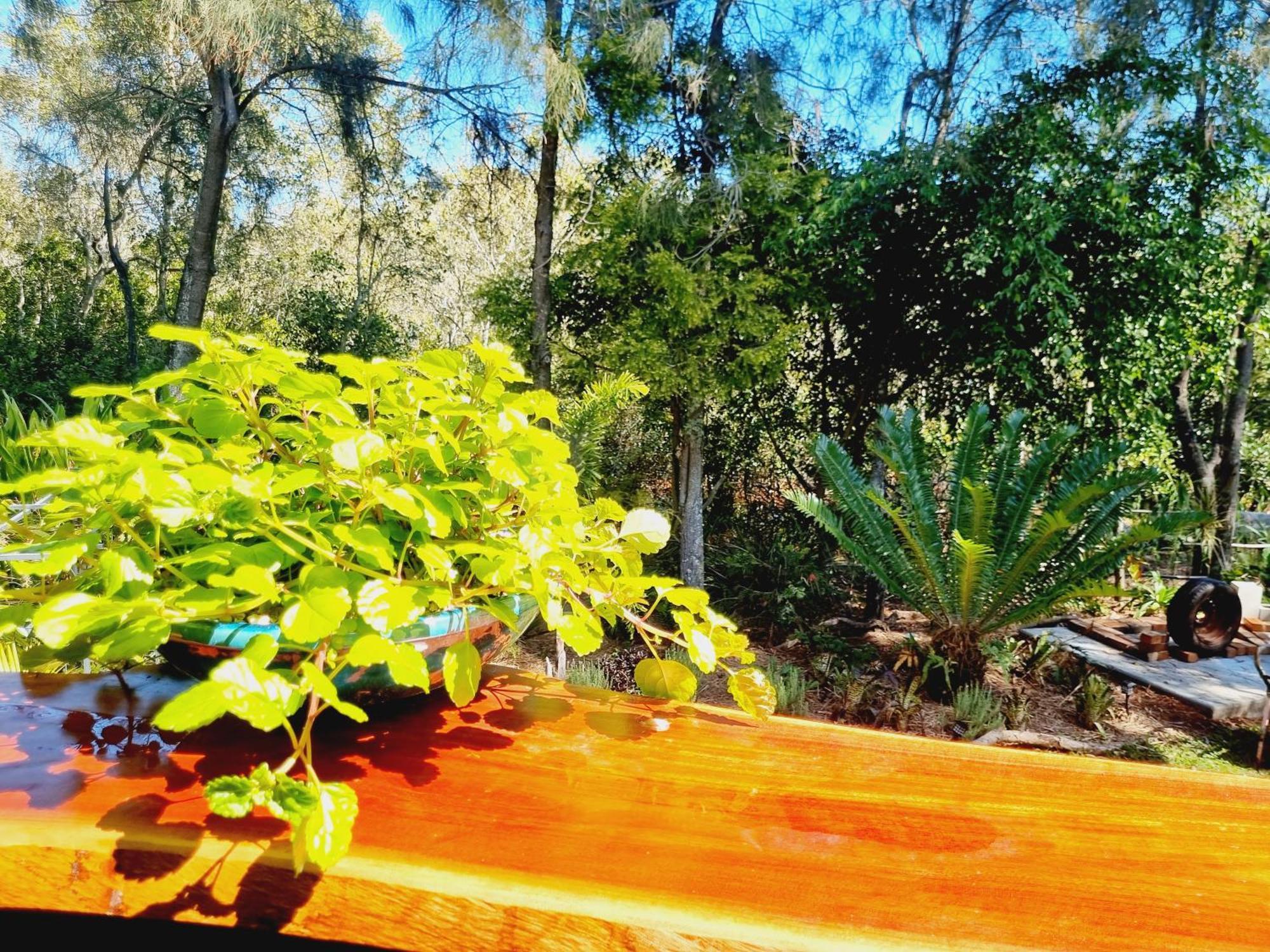 Birdsong Retreat - On Lamb Island Bed & Breakfast Karragarra Island Exterior photo